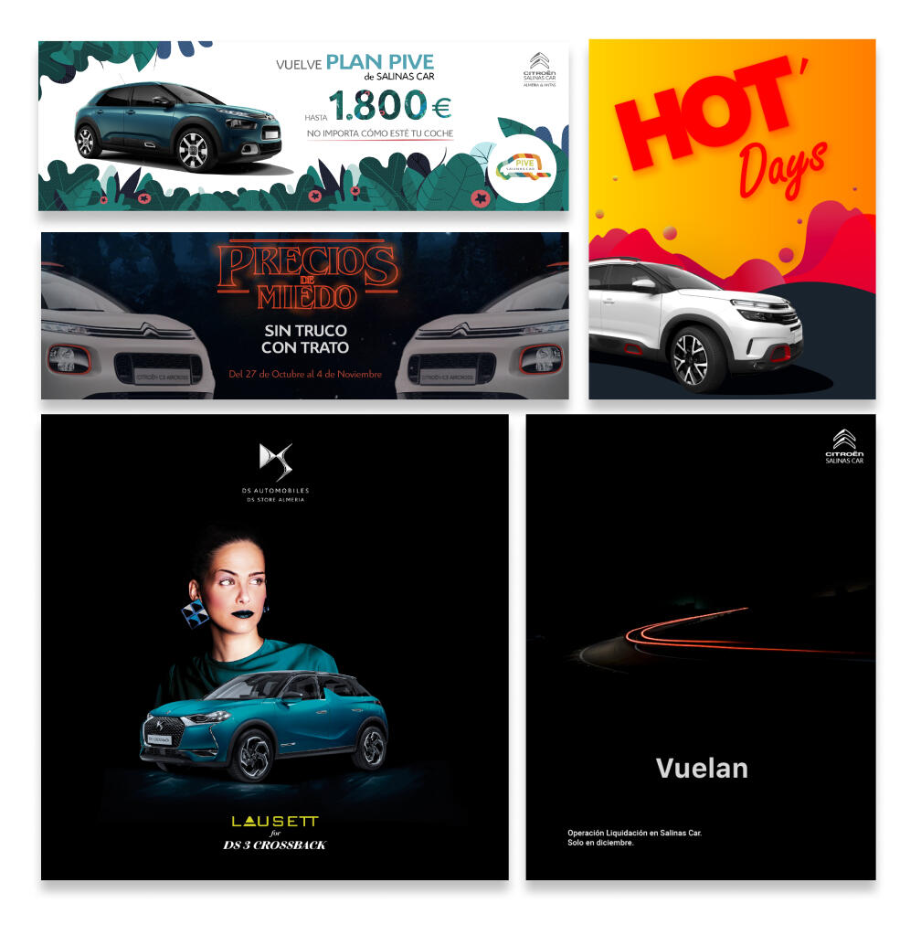 Campañas y banners para Salinas Car