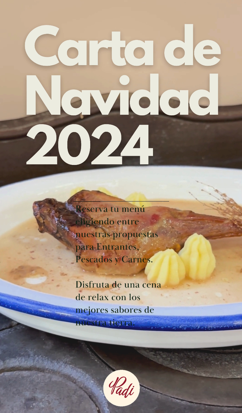 Promo Navidad Padi